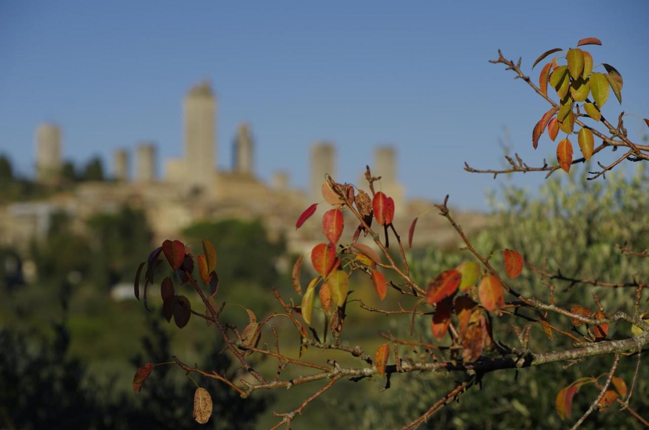 Il Borgo Antico San Gimignano Quarto foto